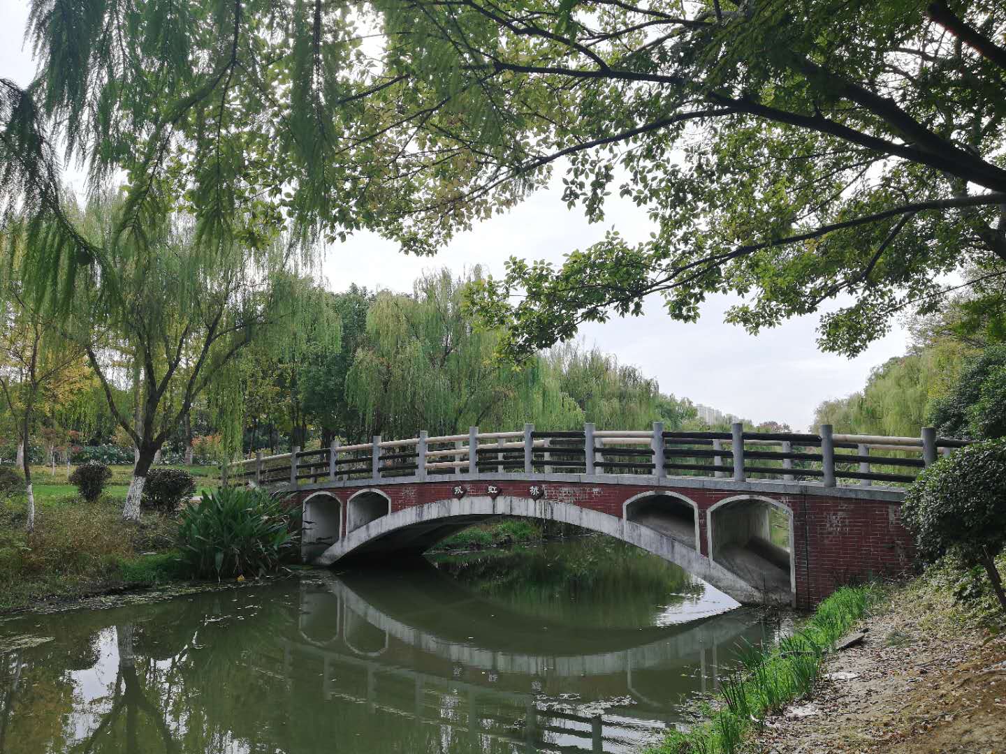 徒步无锡古运河寻找美景,无锡最美沿太湖路线