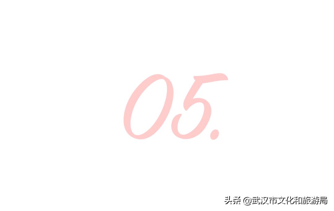 武汉东湖樱花门票,武汉看樱花的景点