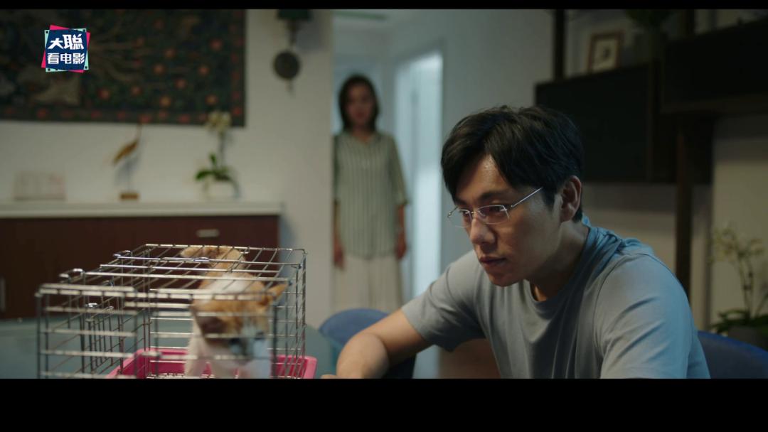 《隐秘的角落》象征含义和结局探讨，每个动物都有它的意义