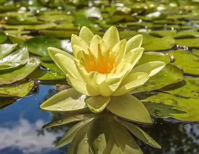 没有同甘共苦凭什么共享富贵,最好的婚姻是同甘共一