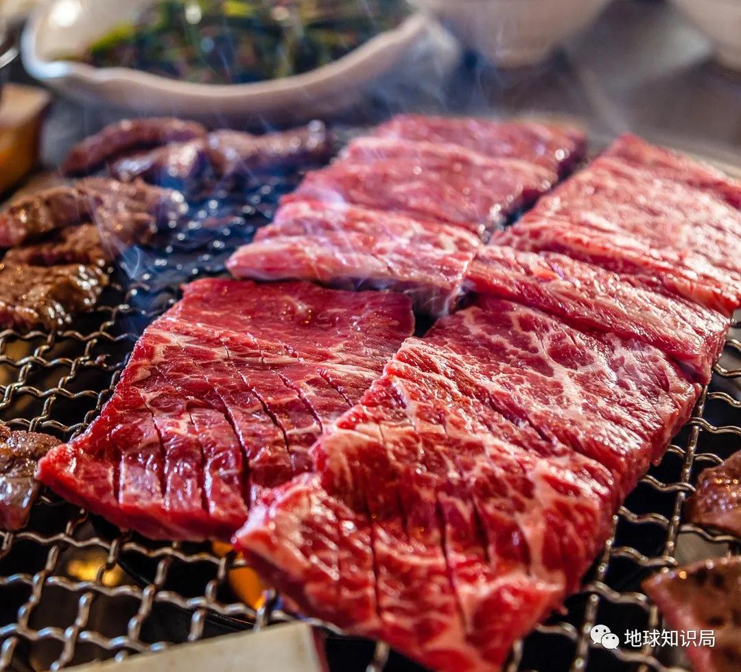 正宗朝鲜烀大块狗肉方法,朝鲜狗肉