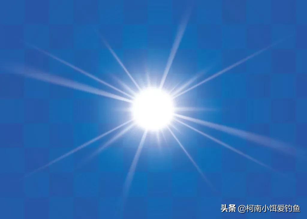 夏季晚上钓鱼突然停口是什么原因,夏天晚上钓鱼突然停口是什么原因