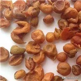 香料的正确使用方法和注意事项,卤水加桂皮的正确方法