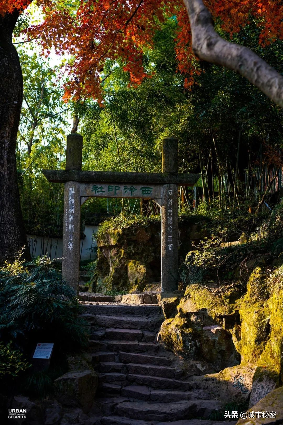 鏉窞瑗挎箹鍥涘ぇ瀹舵棌,鏉窞鍥涘ぇ鏈涙棌