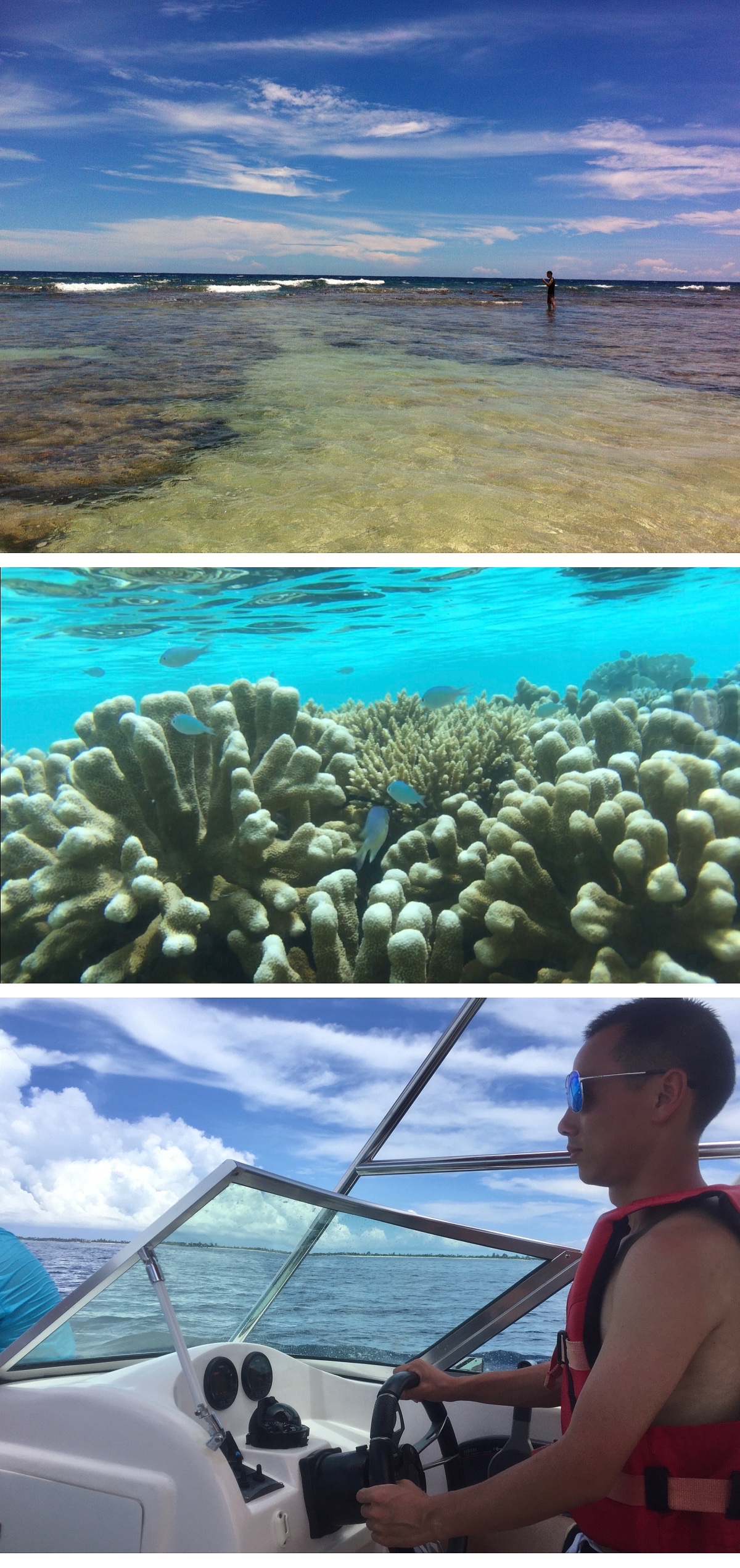 马尔代夫游玩攻略跟团,马尔代夫thinadhoo上岛费用多少