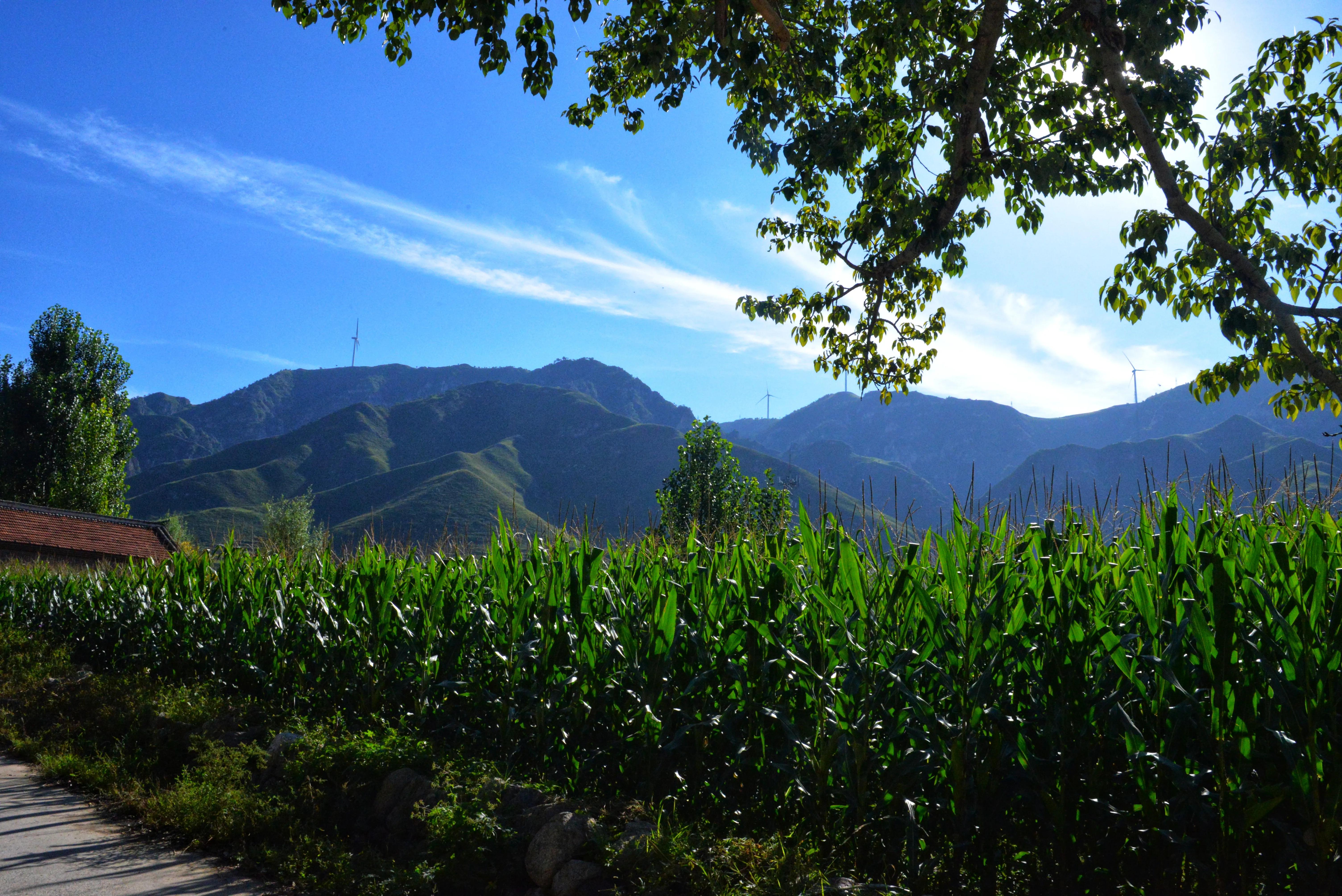 150001邮政编码哪里的,邮政编码100001是哪里的