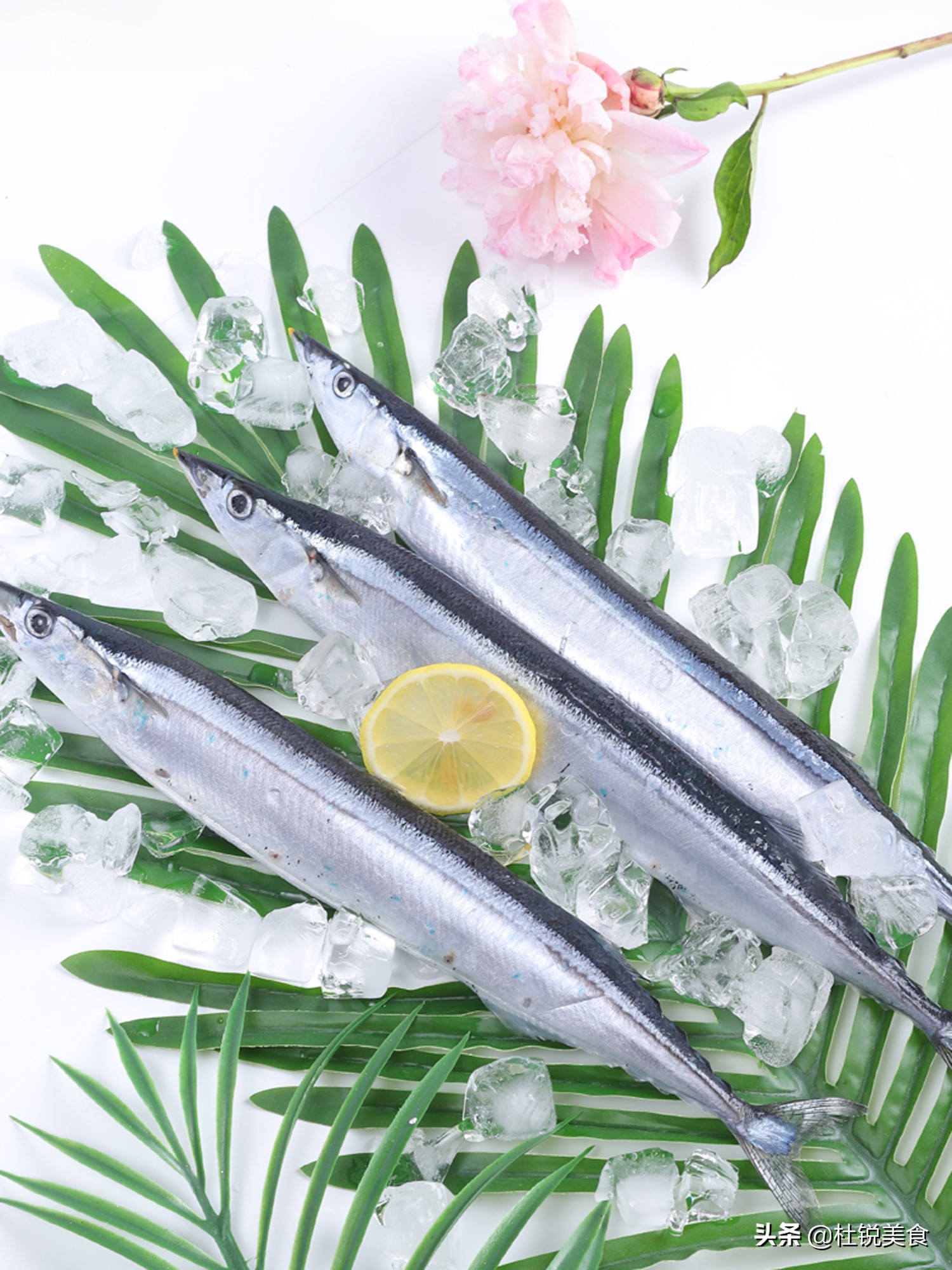 去买鱼可以买死掉的鱼吗,去买鱼的人