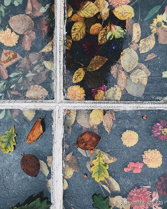 婚姻真谛就是贫贱夫妻百事哀,贫贱夫妻百事哀的恋爱能长久吗