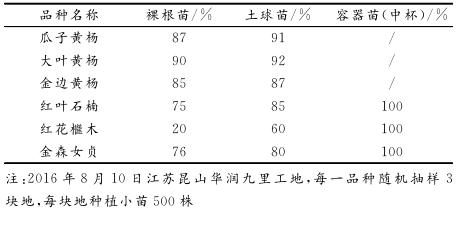 春天移栽红花檵木花太多不长芽,红花檵木移栽多久说明成活了