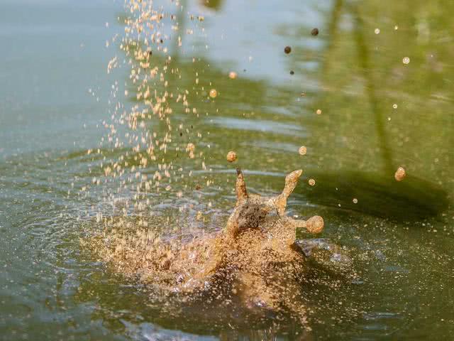 钓鱼打窝怎么打最好,钓鱼打窝怎么打比较好