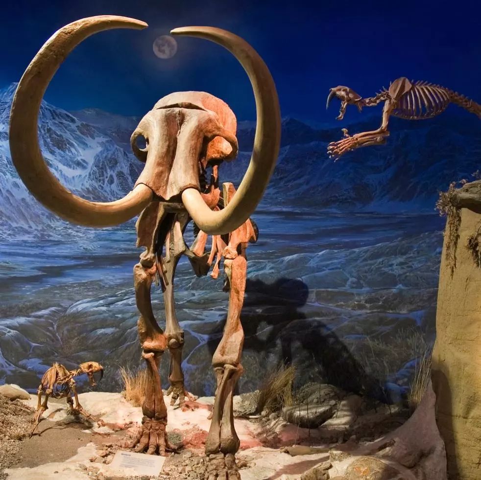 这场Dior杭州时装展，让我梦回2年前的加拿大