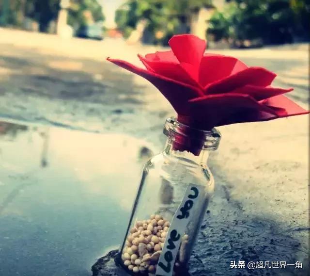 夫妻生活，这才是老公，是爷们看完别哭