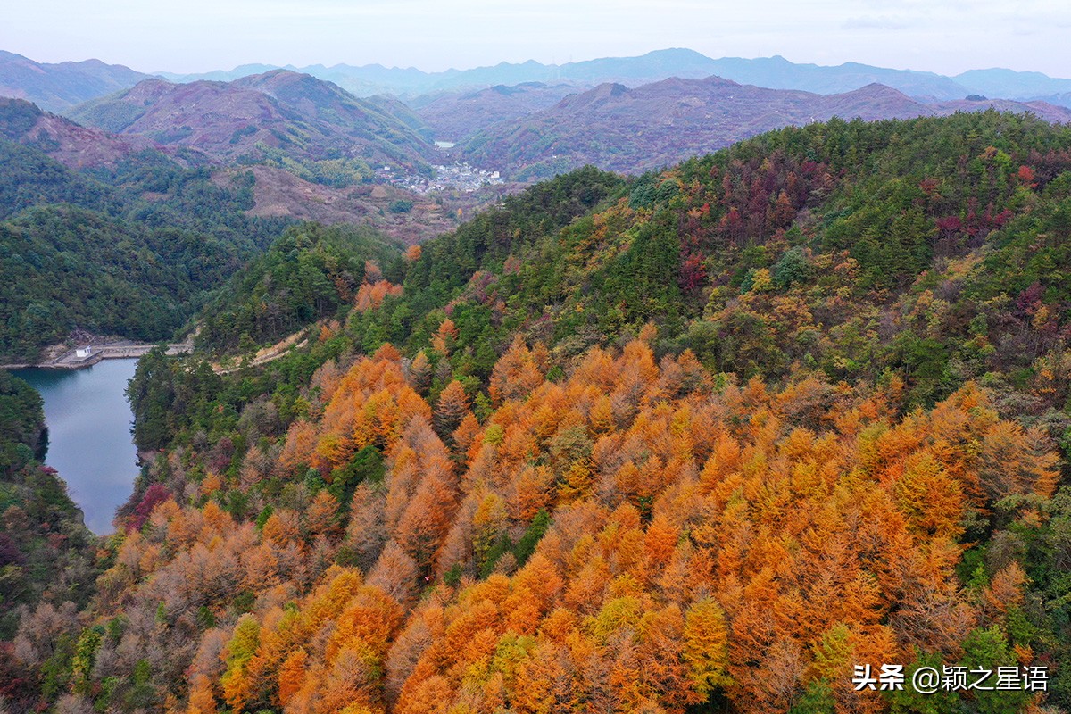 糖烤番薯,火烤番薯干