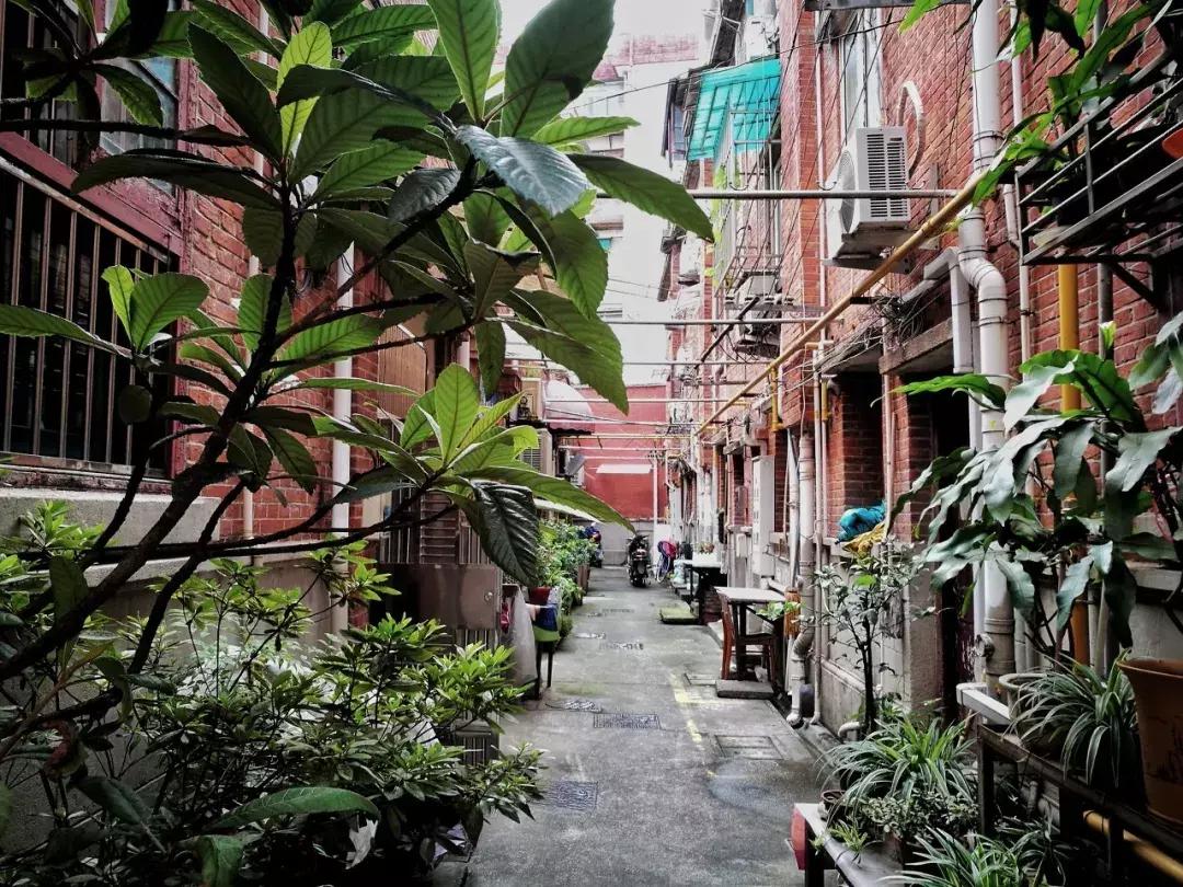 高铁高级软卧有多舒服,高铁软卧怎么睡觉