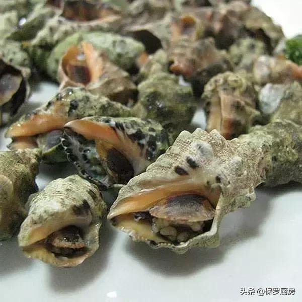 海鲜大荟萃,常见贝壳类海鲜