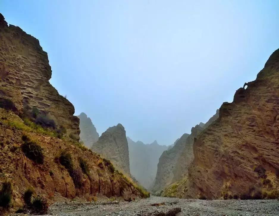 苏州园区公办教师,苏州园区学校老师