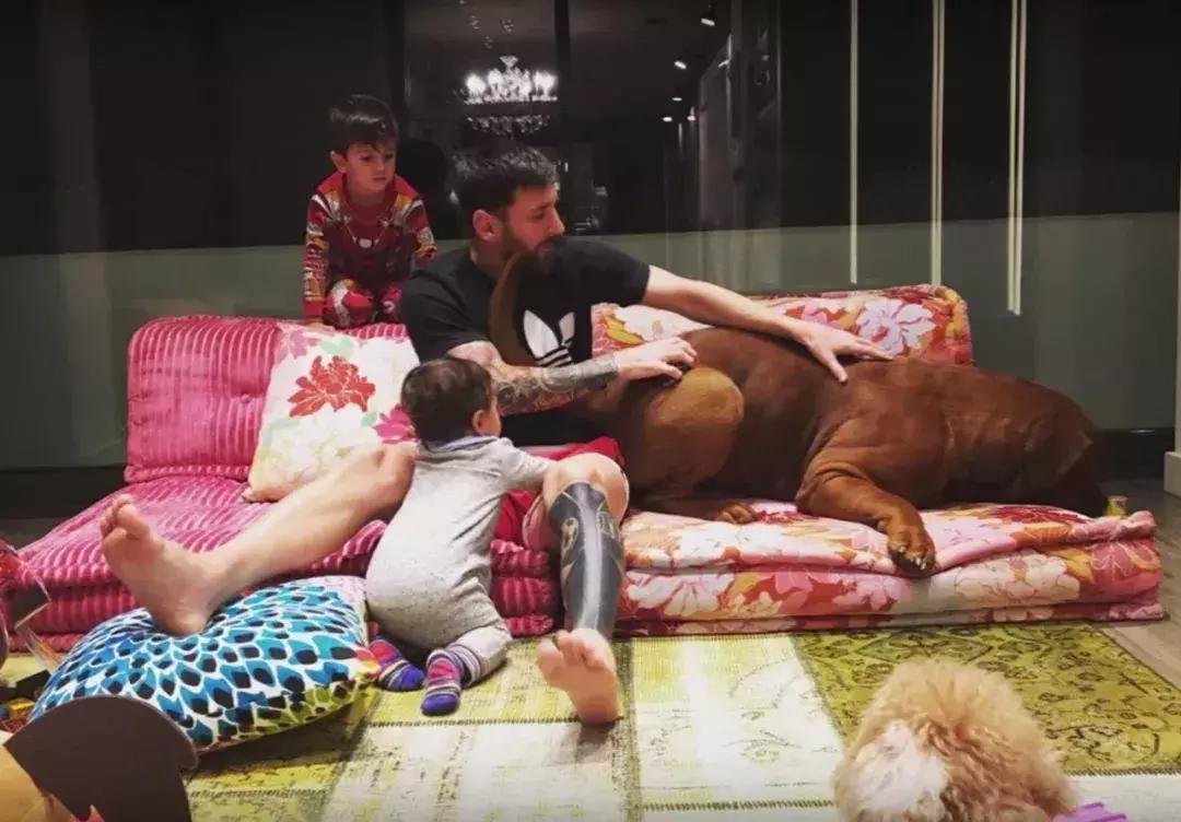 梅西内马尔c罗的家,贝克汉姆c罗梅西内马尔合照