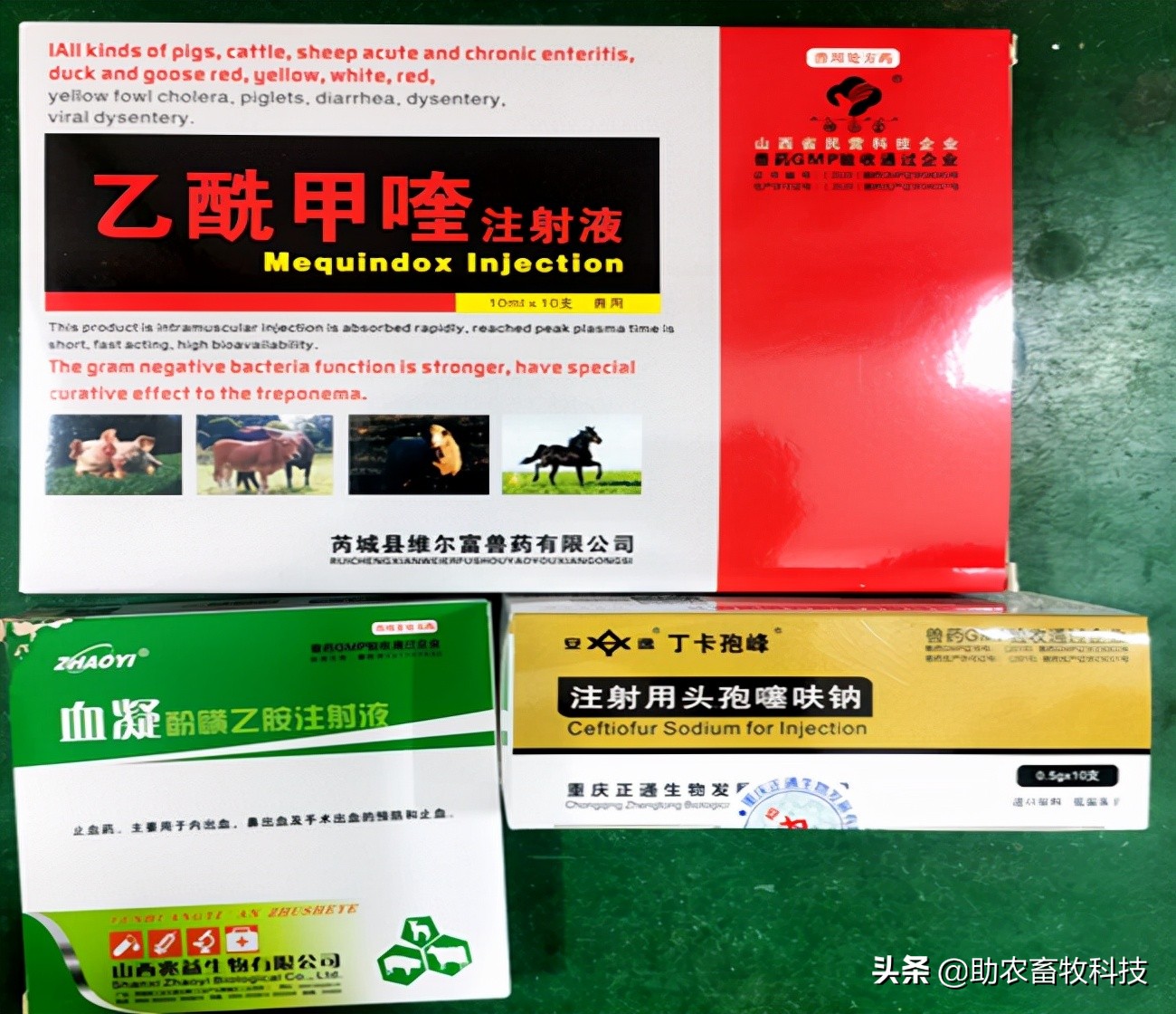 猪场10种常见疾病的症状以及用药防治方案