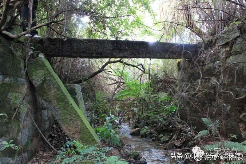 我叫夜明，活了一千多年了