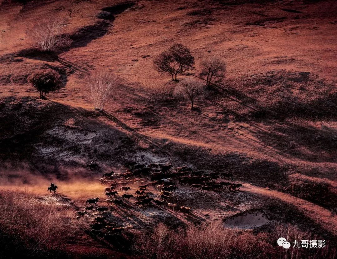 坝上草原天路美景,大美坝上风光系列之一