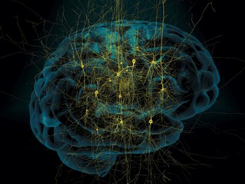 如何冥想快速进入深度睡眠,如何长期冥想