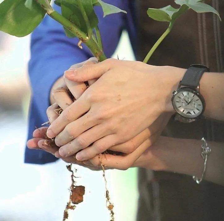 fluke福多多萌主密探,泰星fluke福多多所有作品