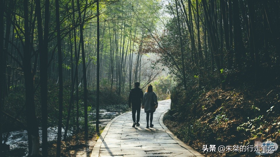 全国最大的竹海,中国竹都最美竹海