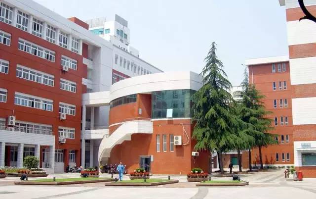 武汉32所重点小学大pk,武汉市十大美丽中学