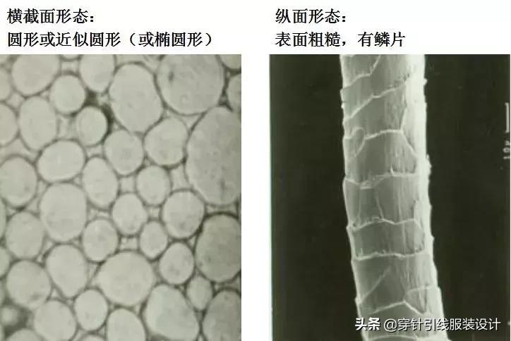 常用的纺织纤维鉴别方法,常见纺织纤维的分类