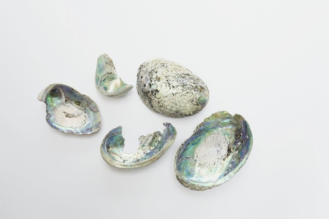 每日一中药茯苓,中医药材决明子