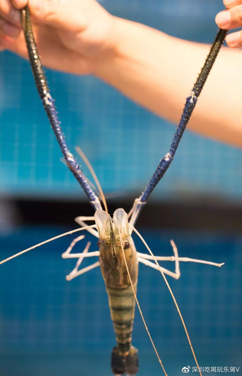 宝安人的顺德饭堂，生蚝用木桶蒸，还加黑松露