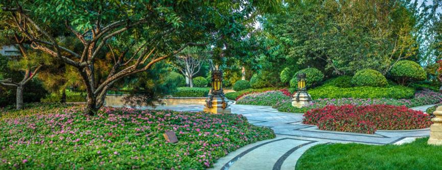 摄影师眼中的恒大有多美?春风十里在这里