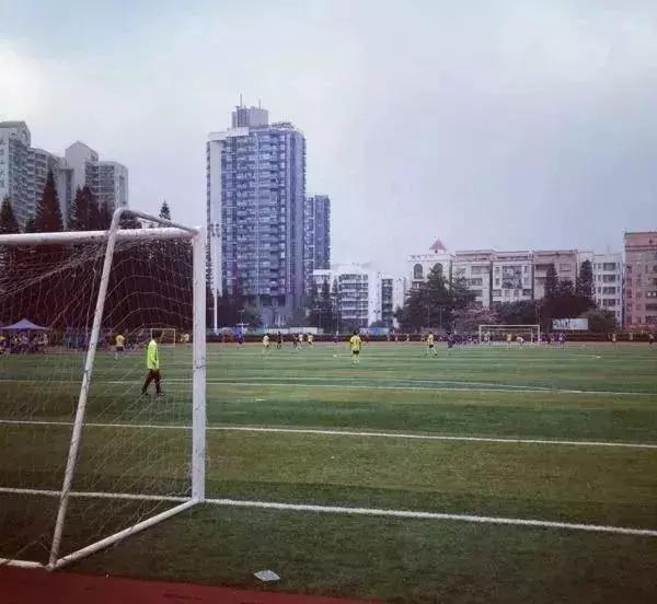 福田花卉世界最新消息,福田花卉世界改造