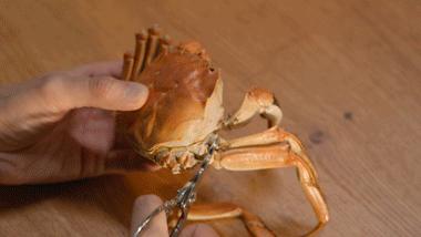 这么大的蟹粉灌汤包你吃过吗,用蟹粉烹制美味可口的蟹粉汤包