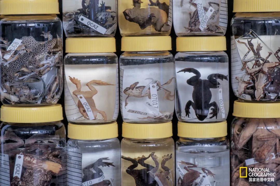 我们的地球很老了吗,地球还能再活几岁