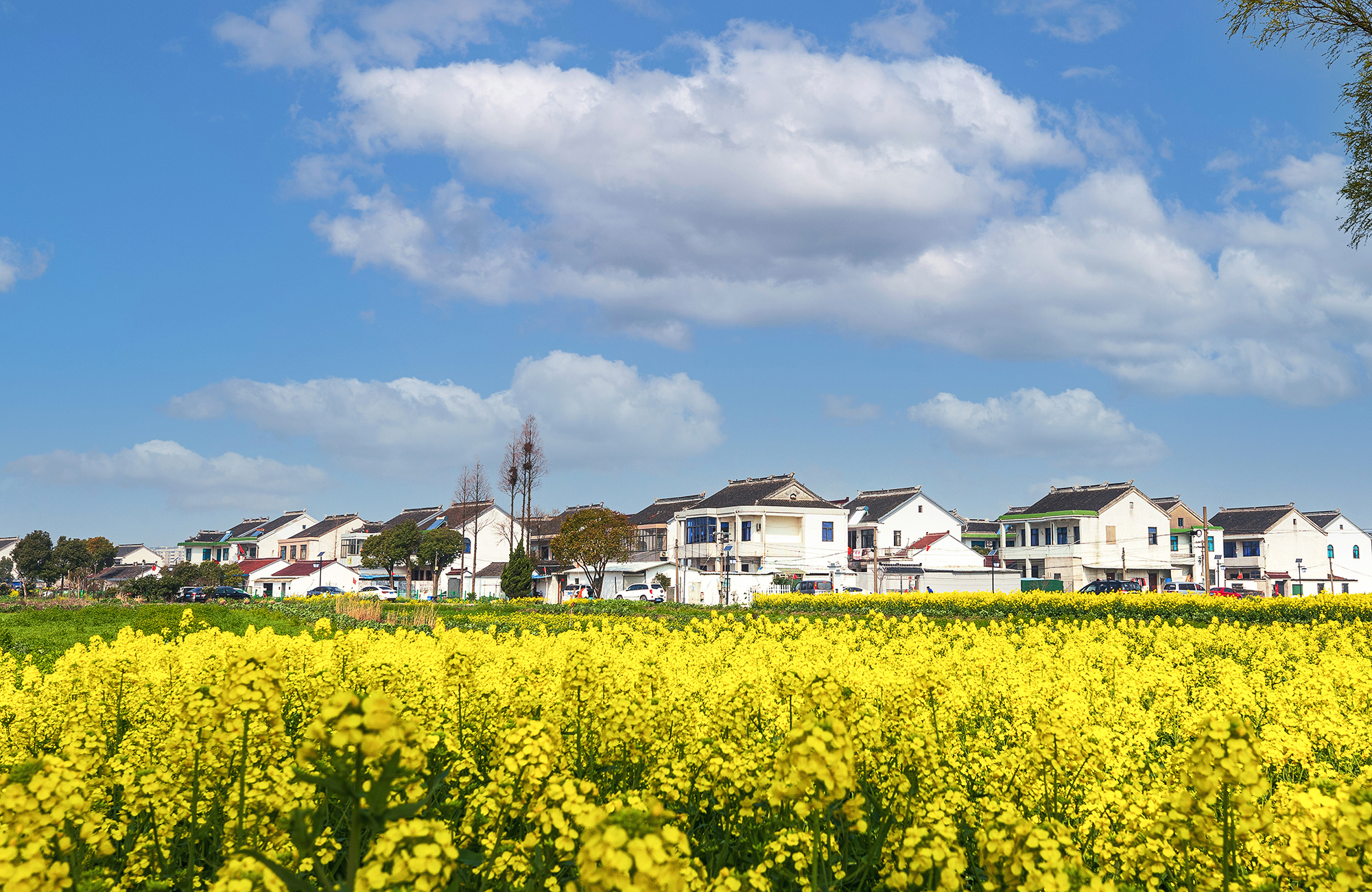 刚好我也喜欢你暮回全文阅读,刚好我也喜欢你小说完整版