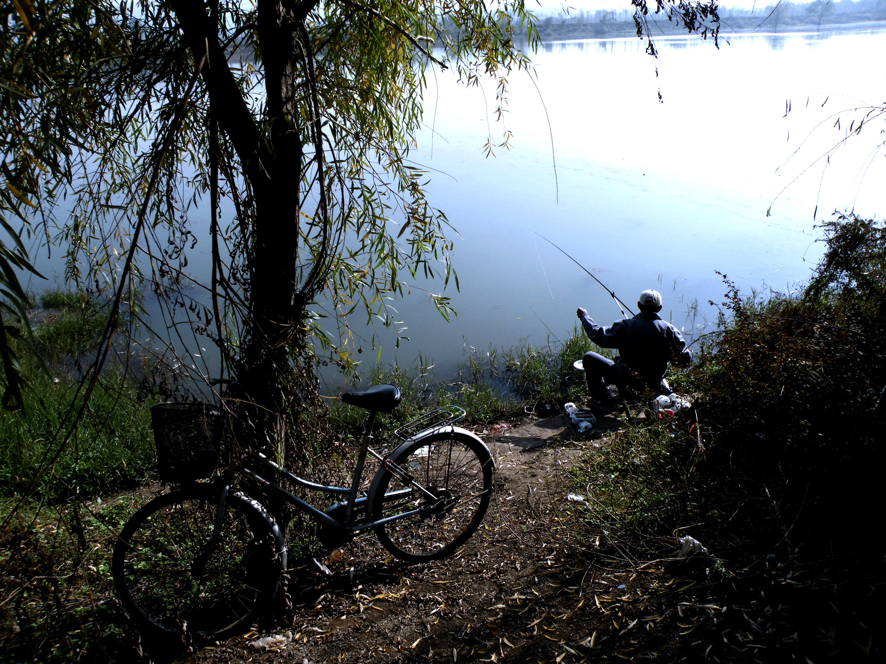 我钓鱼时常遇到的那位高手老黄，钓法出其不意，鱼获总是很多……