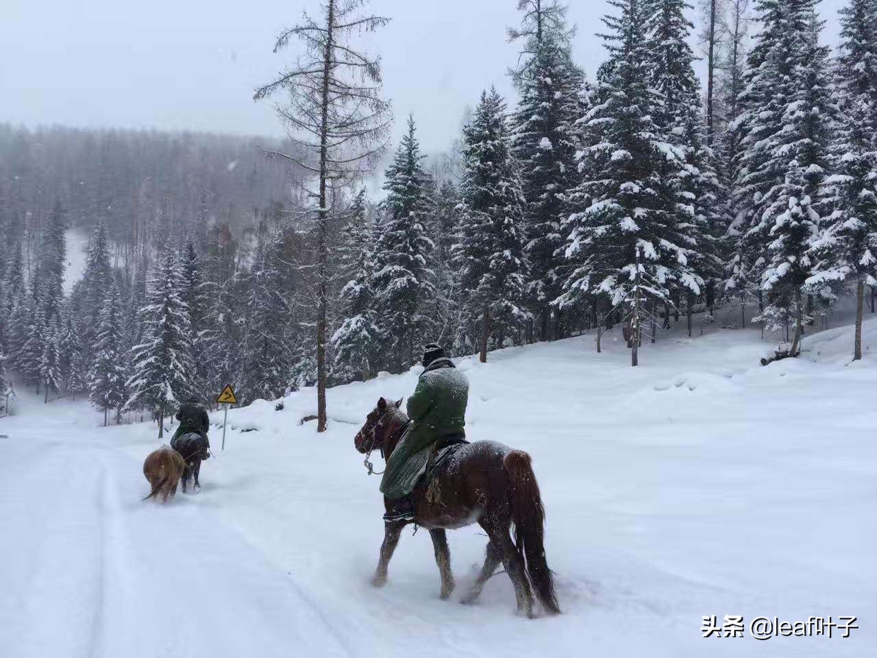 冬季*疆新**喀纳斯打卡必做list