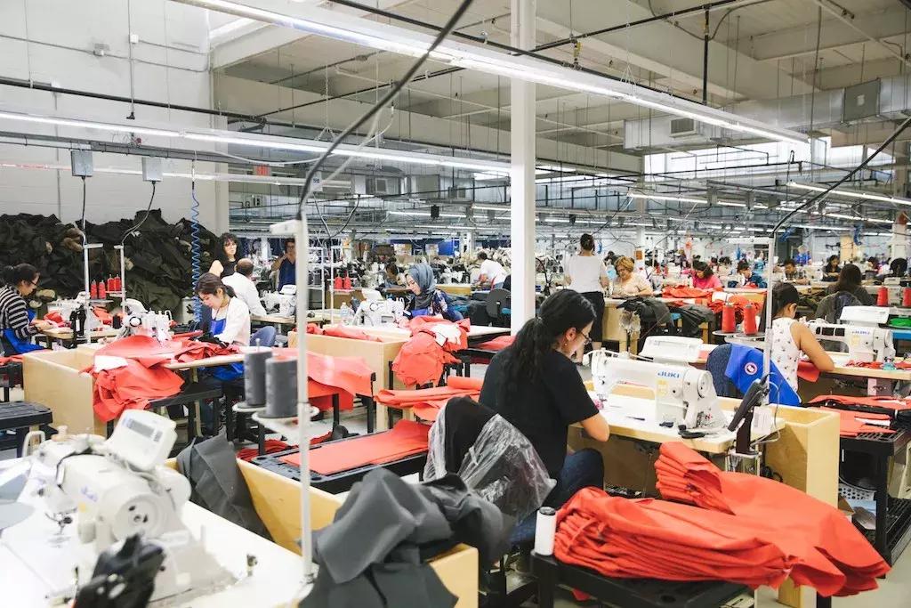 加拿大鹅是怎么流行的,为啥加拿大鹅这么火