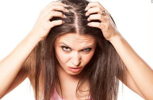 头发起小红疙瘩痒头发干燥,头发油头皮屑多头发痒