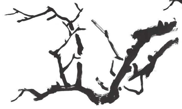 梅花入门画法教程,梅花的十种画法讲解