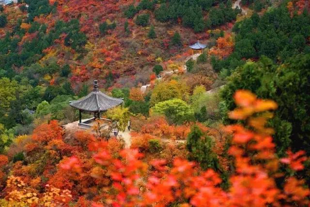 六月我们一起去旅行,九月带你去旅行