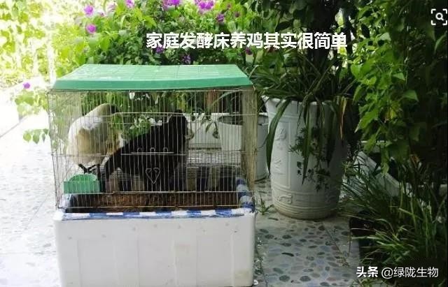 阳台只晒衣服要装地漏吗,阳台养鸡发酵床制作方法视频