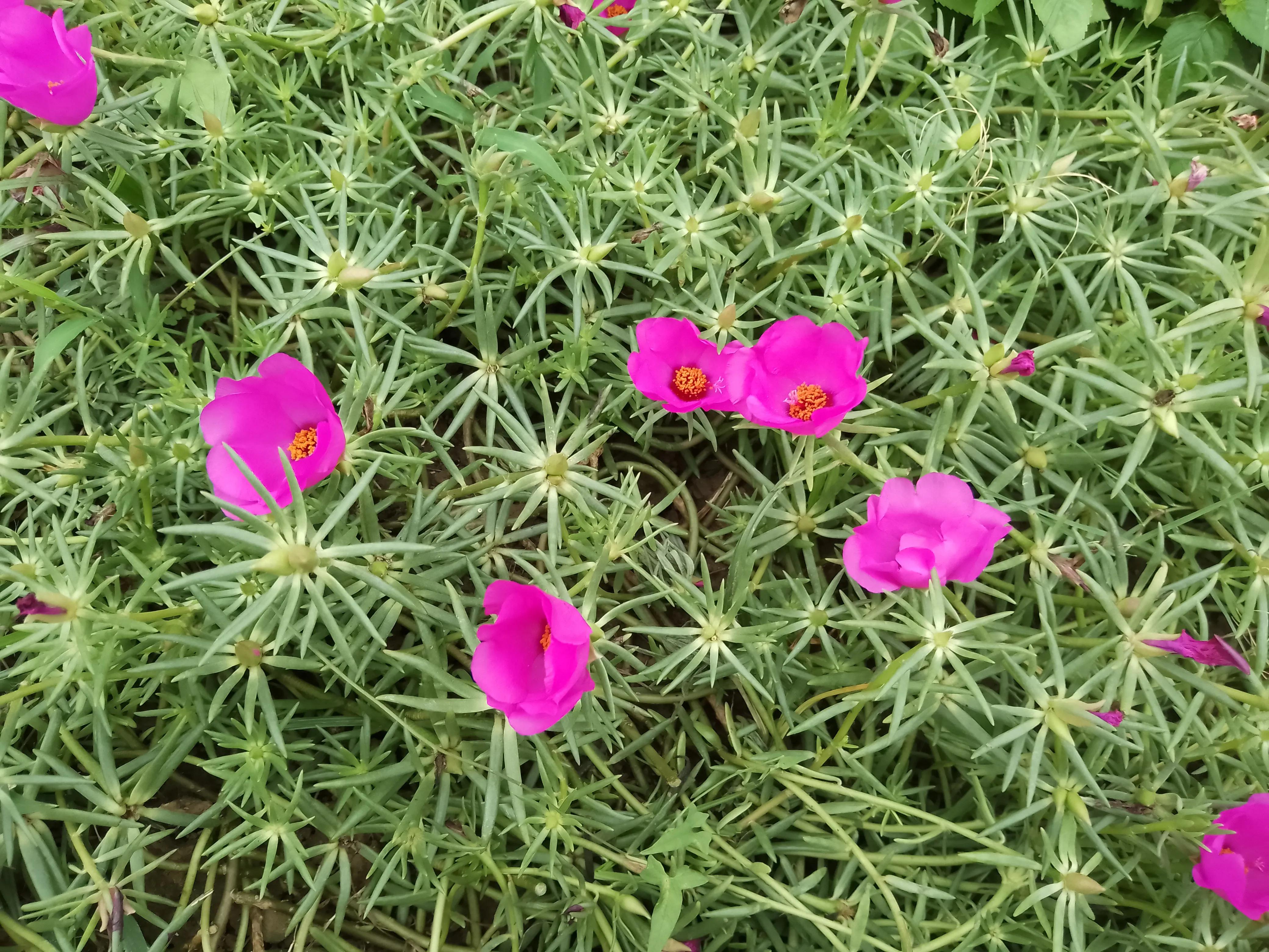 如何用一句话形容生产,怀孕到生产的辛苦与喜悦
