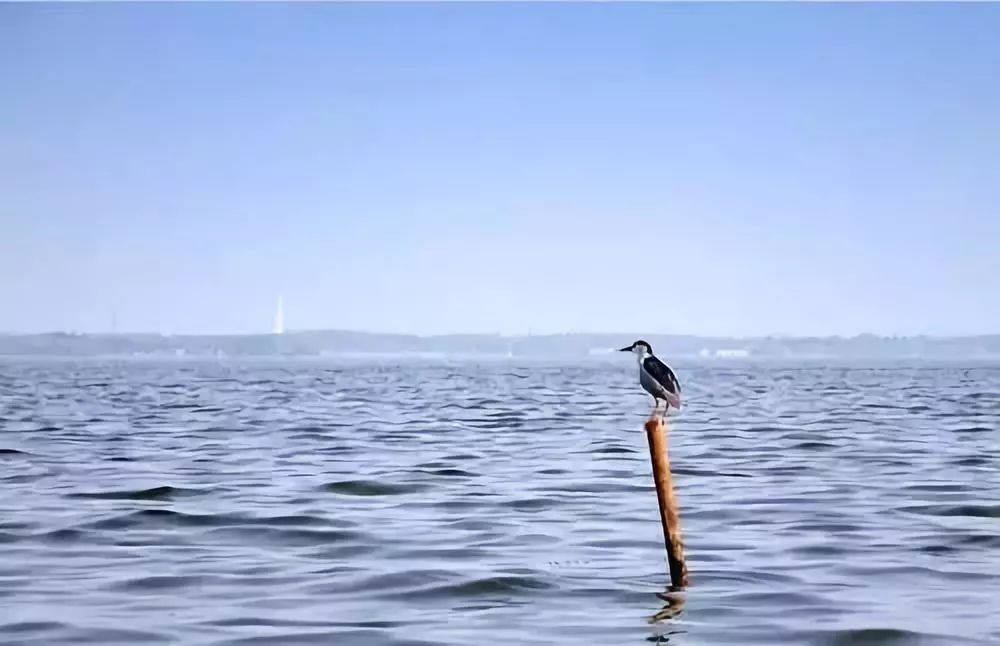 先走一步！对不起，我要去青浦了！