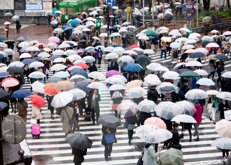 日本有哪些小家电可以买,在国内买日本家电在哪买便宜