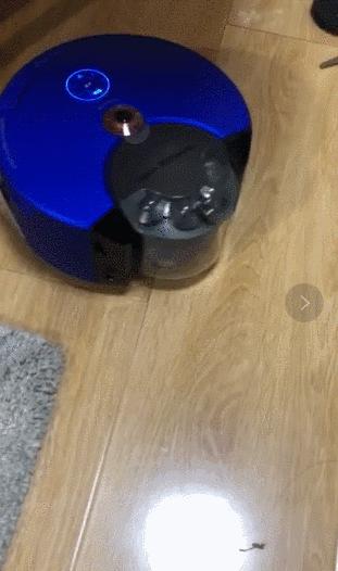 真假戴森的区别,网红戴森是真实用还是真鸡肋