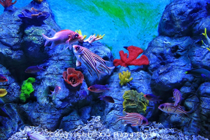 横店梦幻谷水世界有奥特曼,横店梦幻谷水世界摩天轮