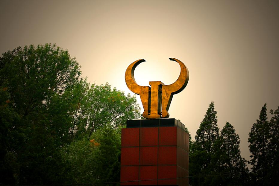 天津相声演员丁文元,天津小伙丁文元