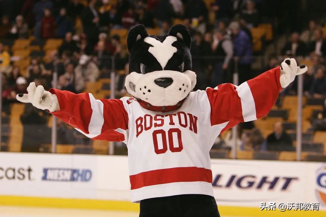 美国大学奇葩吉祥物,美国大学可爱吉祥物